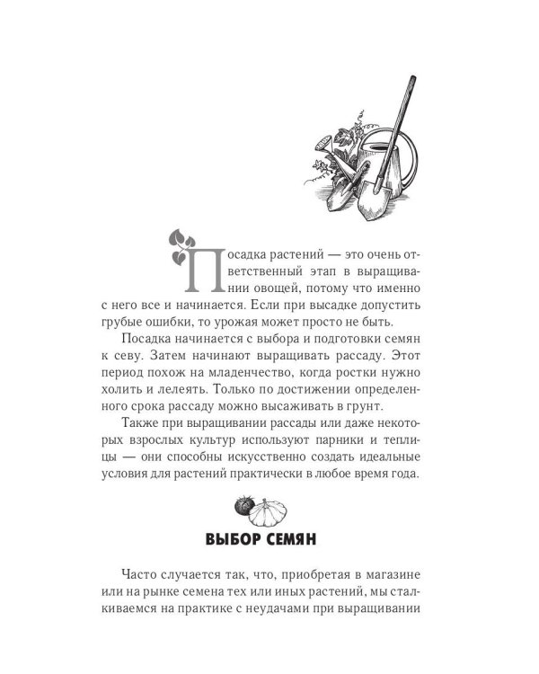 Богатый урожай овощей