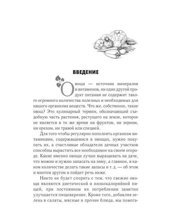 Богатый урожай овощей