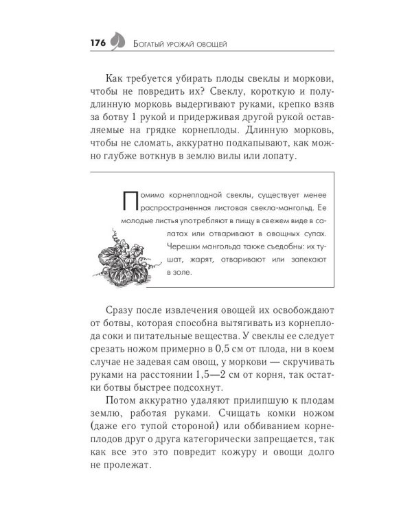 Богатый урожай овощей