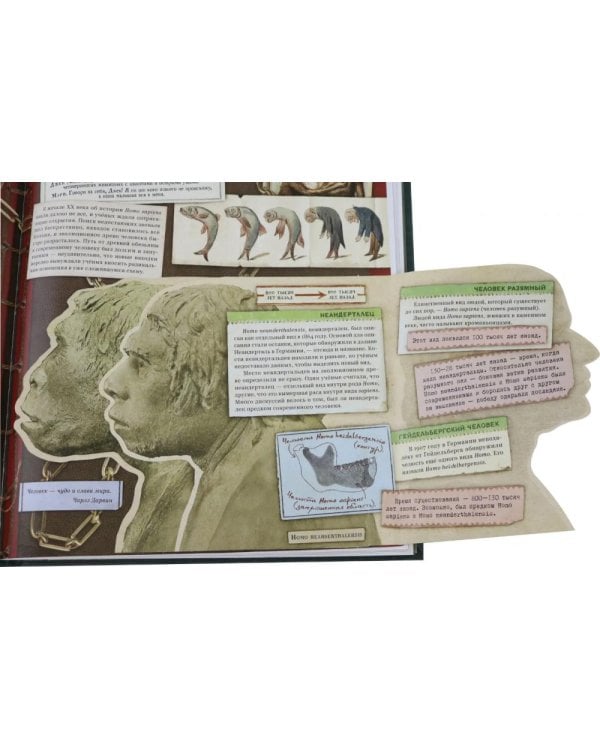 Затерянный мир