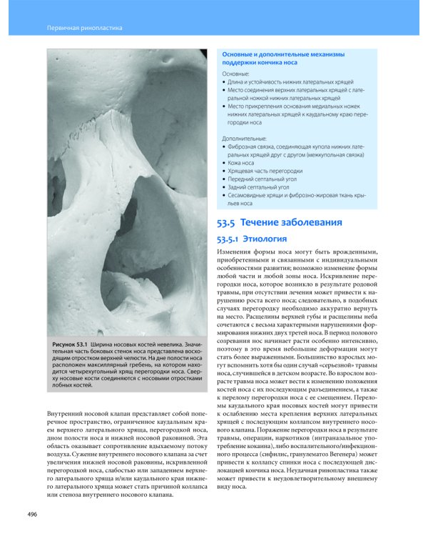 Общая оториноларингология - Хирургия головы и шеи. В 2 т