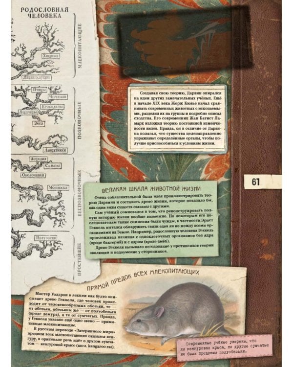 Затерянный мир