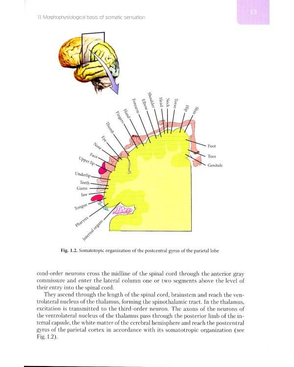 Diseases of nervous system