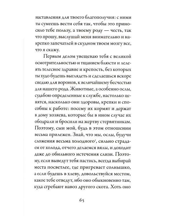 Бранкалеоне: роман