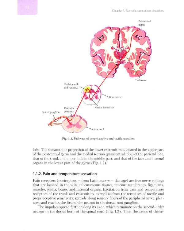 Diseases of nervous system