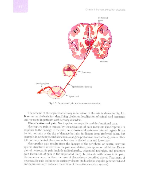 Diseases of nervous system