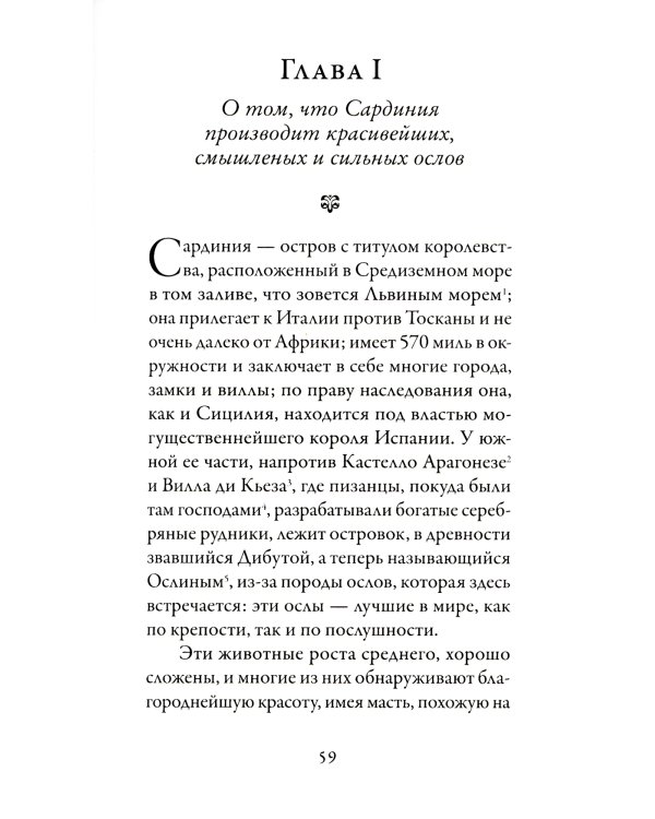 Бранкалеоне: роман