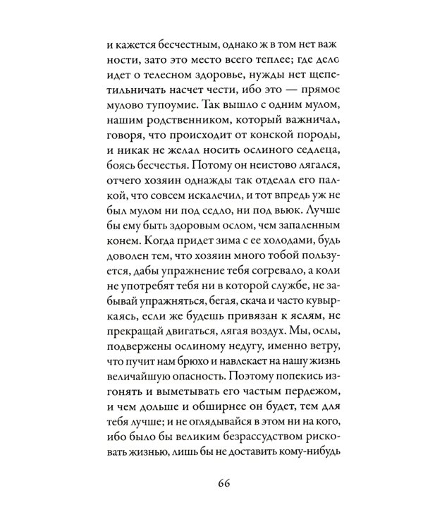 Бранкалеоне: роман