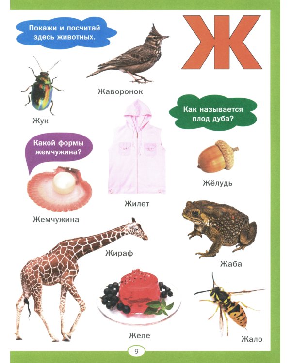 Азбука и счет для малышей