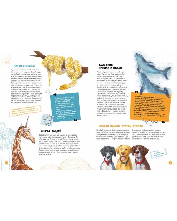 Миры Алисы Селезневой. Путеводитель по книгам Кира Булычева