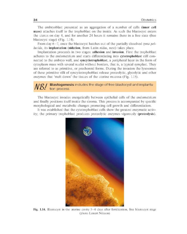 Obstetrics = Акушерство: Учебник