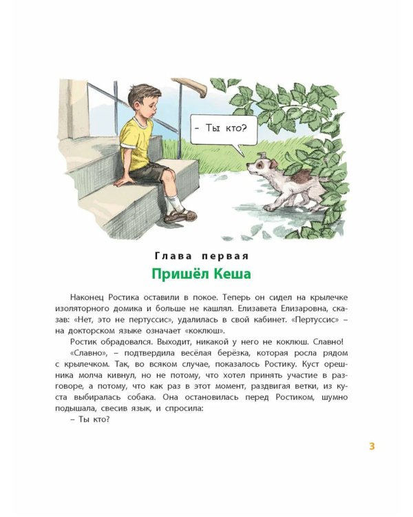Ростик и Кеша; Счастливо, Ивушкин! (комплект из 2-х книг)