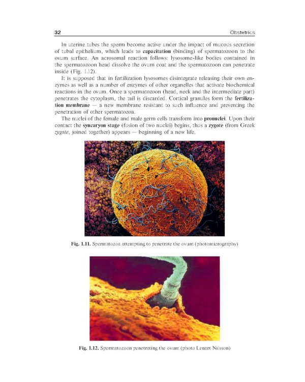 Obstetrics = Акушерство: Учебник
