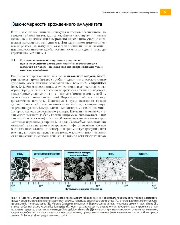 Иммунобиология по Джанвэю