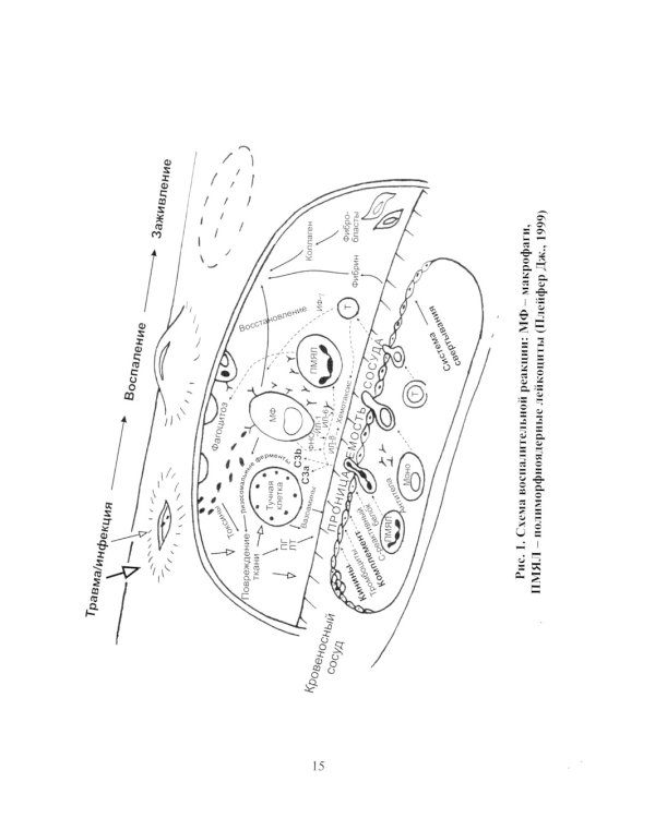 Инфекция в хирургии: Учебник. 2-е изд., перераб.и доп