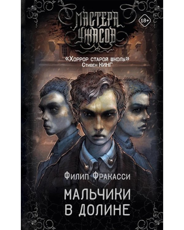 Мальчики в долине: роман