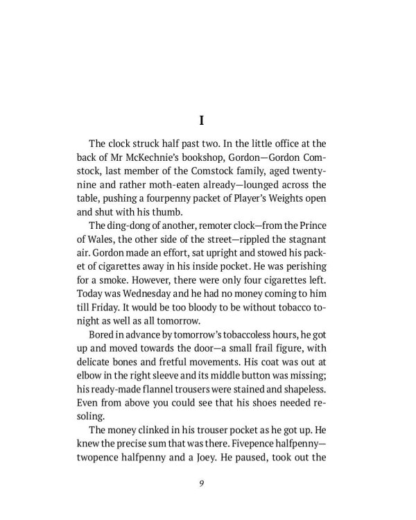 Keep the Aspidistra Flying: на англ.яз