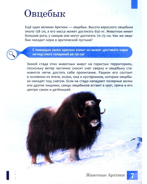 Животные: энциклопедия