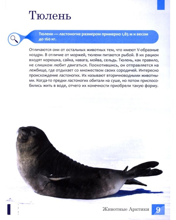 Животные: энциклопедия