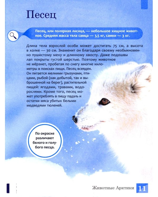 Животные: энциклопедия