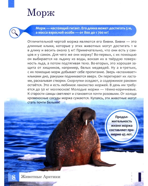 Животные: энциклопедия