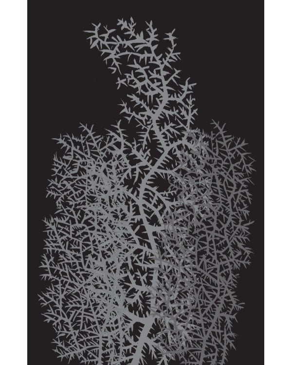 Божественная комедия, или Путешествие Данте флорентийца сквозь землю, в гору и на небеса в пересказе Анджея Иконникова-Галицкого