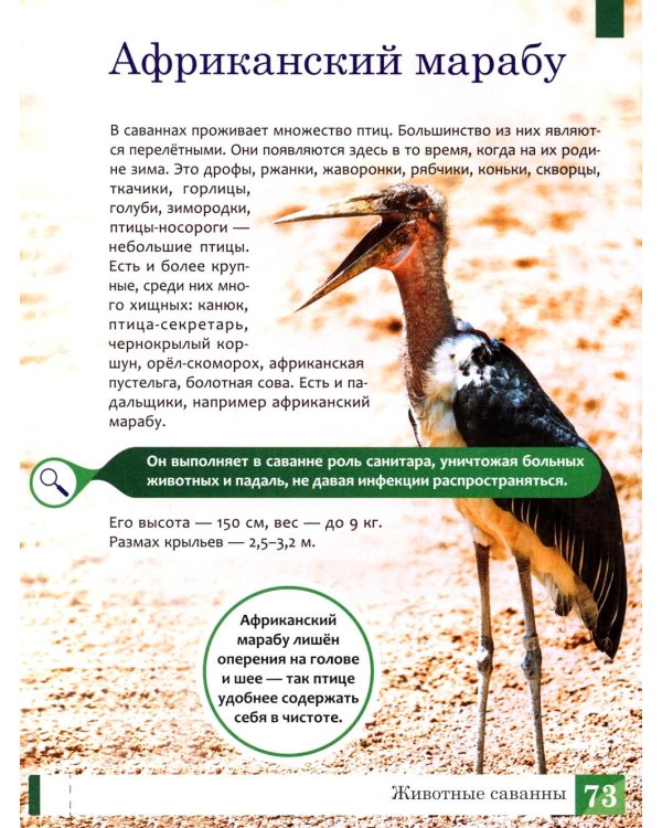 Животные: энциклопедия