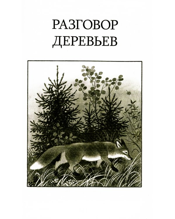 Кладовая солнца