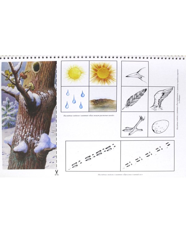 Добро пожаловать в экологию. Демонстрационные картины и динамические модели для занятий с детьми 4-5 лет (средняя группа). ФГОС.