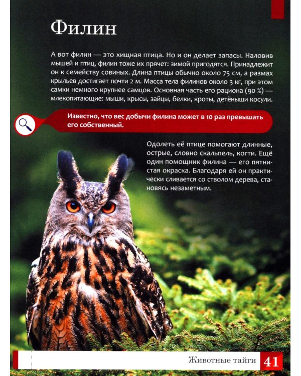 Животные: энциклопедия