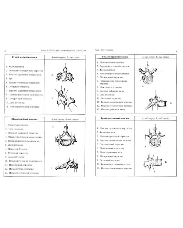 Анатомия человека. Опорно-двигательный аппарат. Ч. 1: Остеология. Тетрадь-практикум