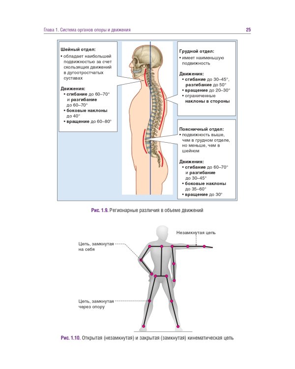 Головные и лицевые боли. Миофасциальный релиз