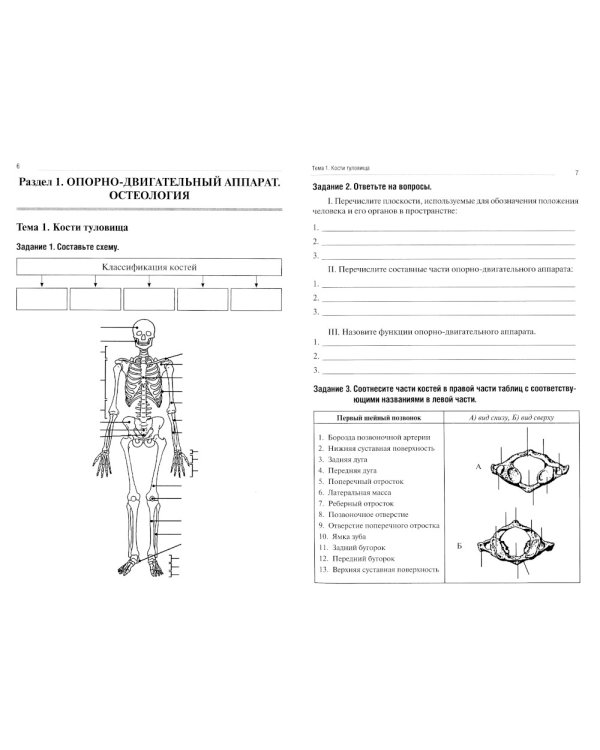 Анатомия человека. Опорно-двигательный аппарат. Ч. 1: Остеология. Тетрадь-практикум