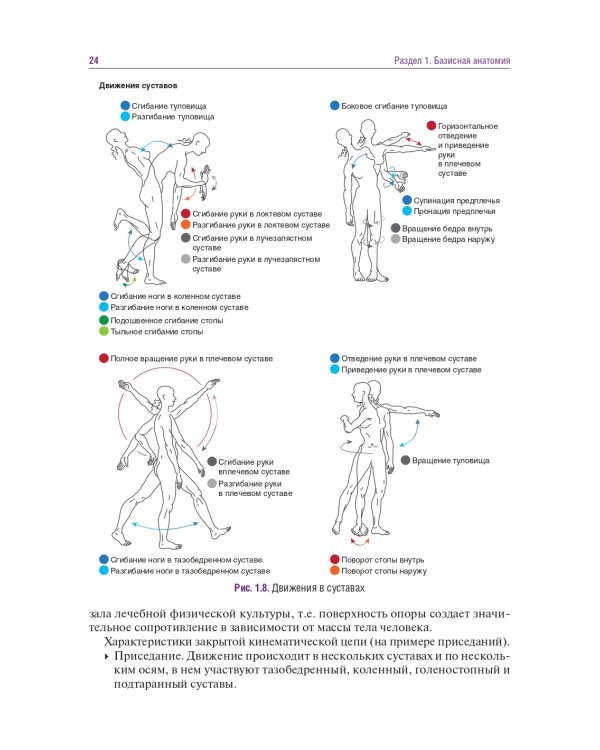 Головные и лицевые боли. Миофасциальный релиз