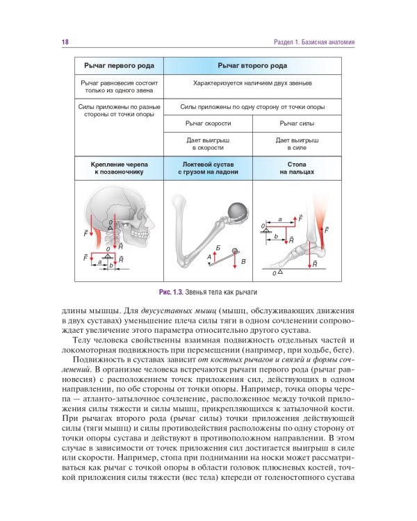 Головные и лицевые боли. Миофасциальный релиз