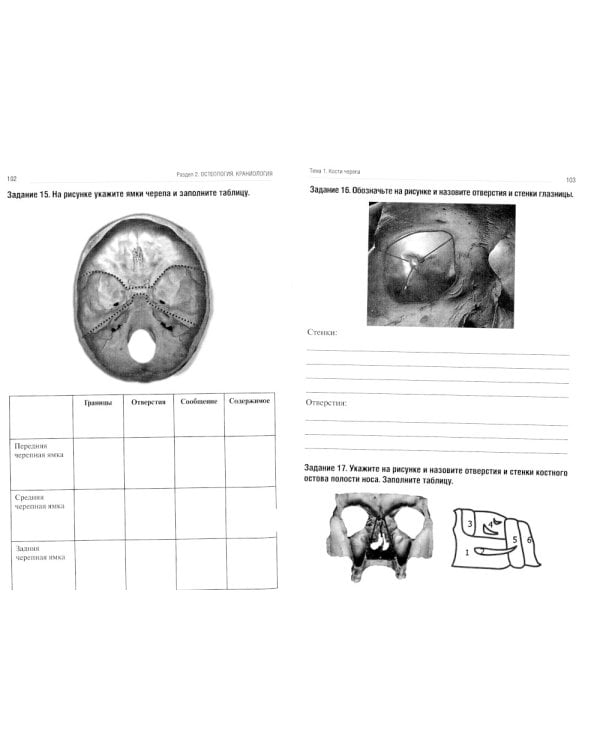Анатомия человека. Опорно-двигательный аппарат. Ч. 1: Остеология. Тетрадь-практикум