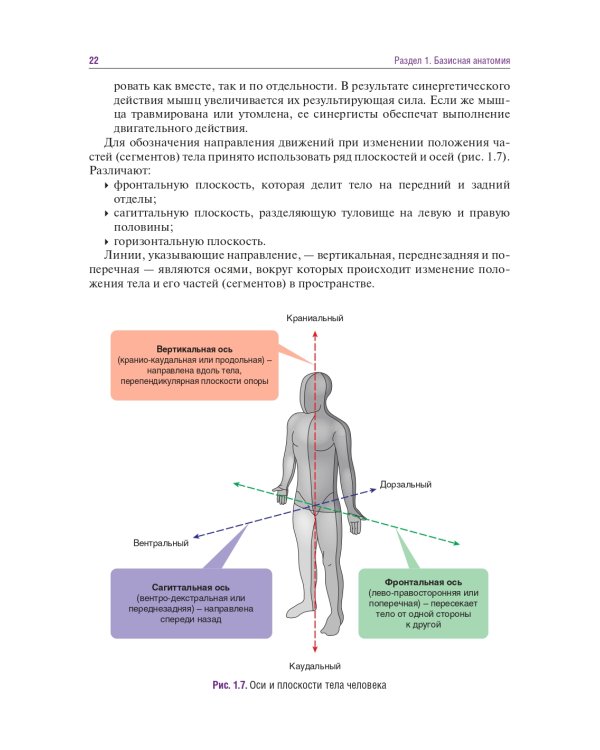 Головные и лицевые боли. Миофасциальный релиз