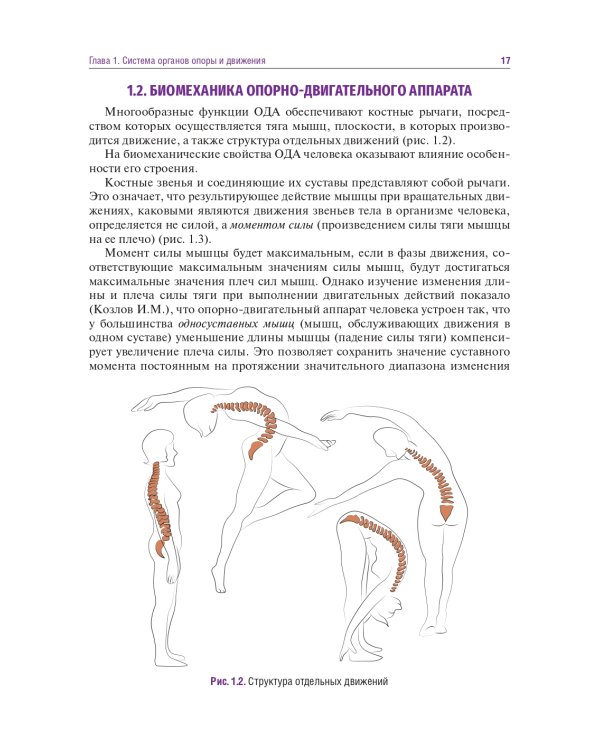 Головные и лицевые боли. Миофасциальный релиз