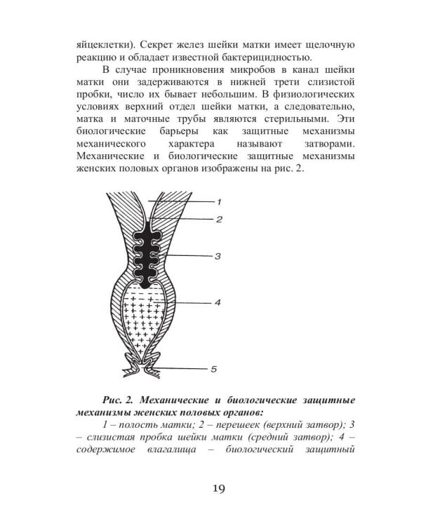 Реабилитация после воспалительных заболеваний женских половых органов