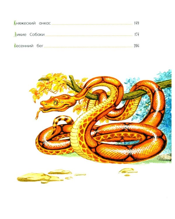 /Маугли: повесть - сказка