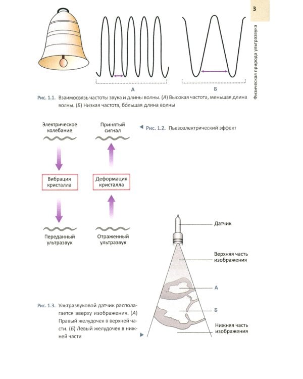 ЭхоКГ понятным языком. 3-е изд