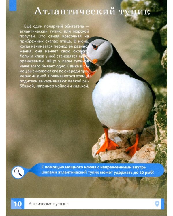 Природа России: энциклопедия