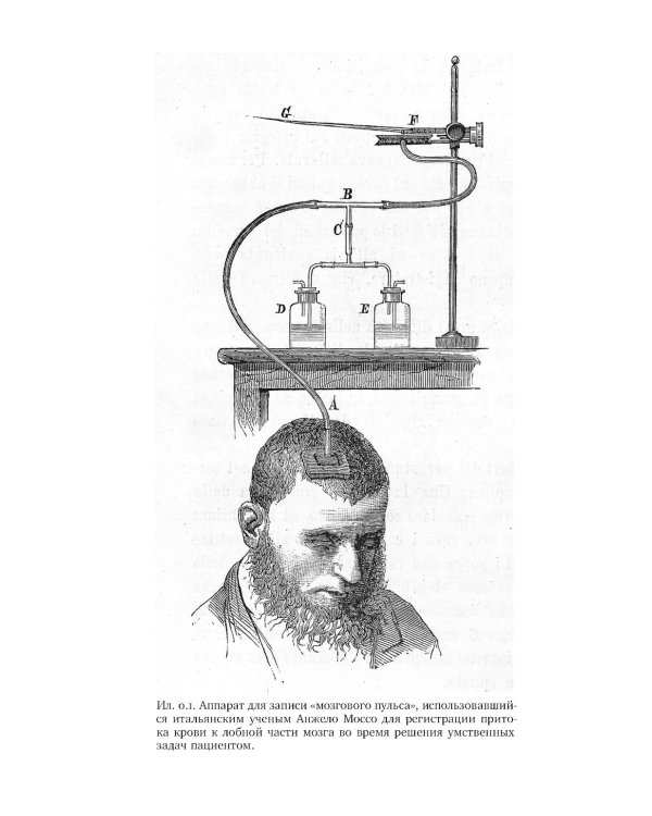 Психомоторная эстетика: движение и чувство в литературе и кино начала ХX века