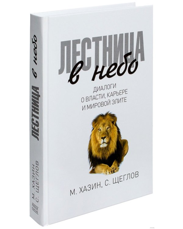 Лестница в небо. Диалоги о власти, карьере и мировой элите