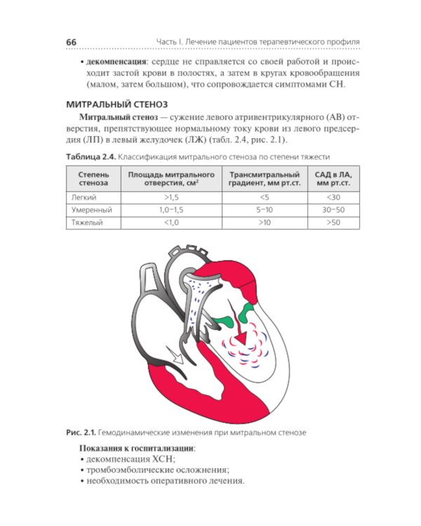 Лечение пациентов терапевтического профиля: Учебник