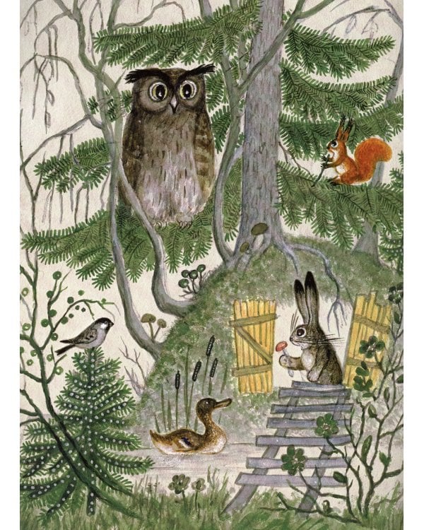 Сорока-белобока