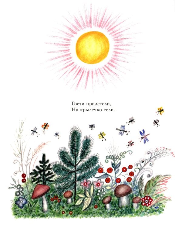 Сорока-белобока