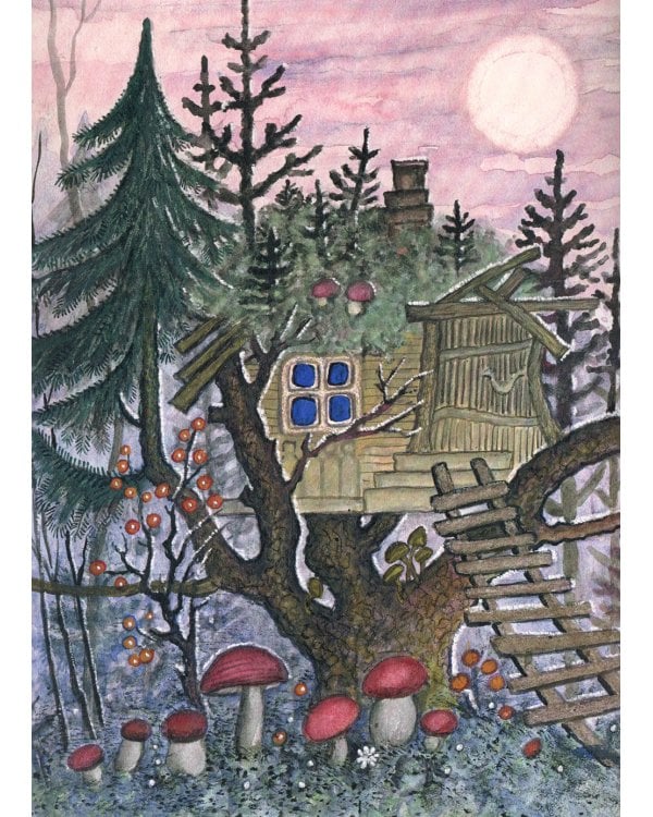 Сорока-белобока