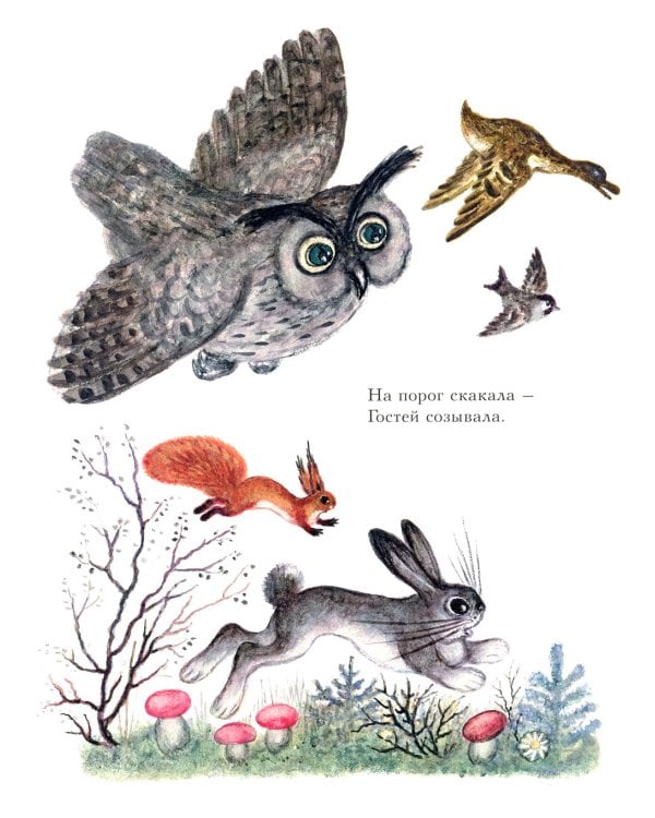 Сорока-белобока