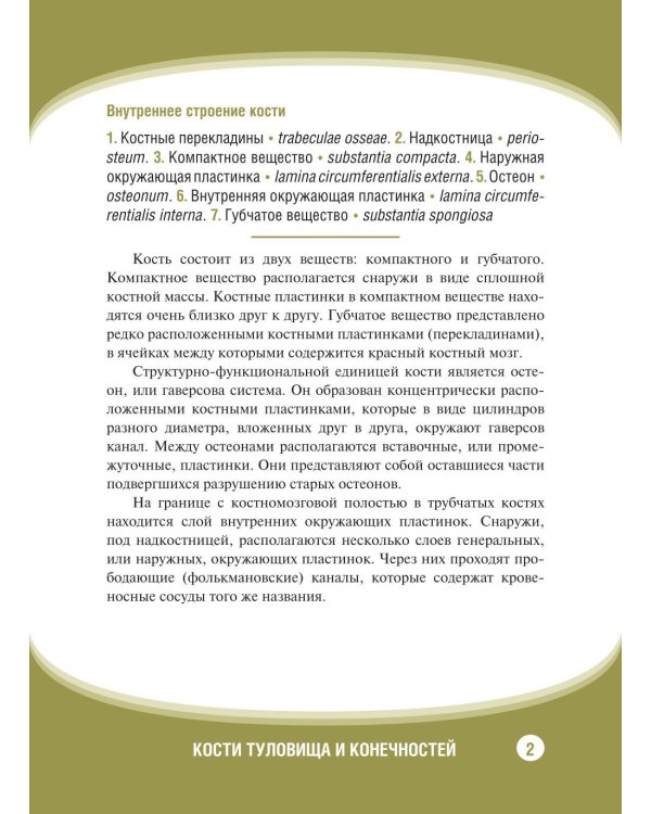 Анатомия человека. Кости туловища и конечностей. Карточки: Наглядное учебное пособие